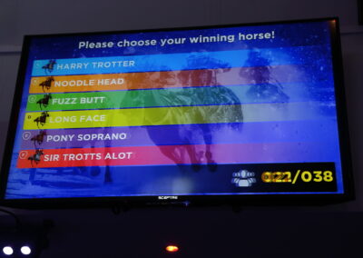 Horce Race Playpad Mania